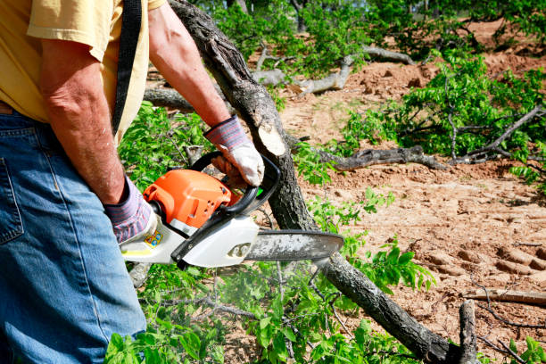 Best Tree Preservation Services  in West Kennebunk, ME